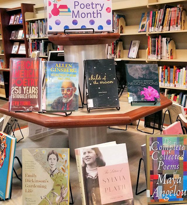 poetry books